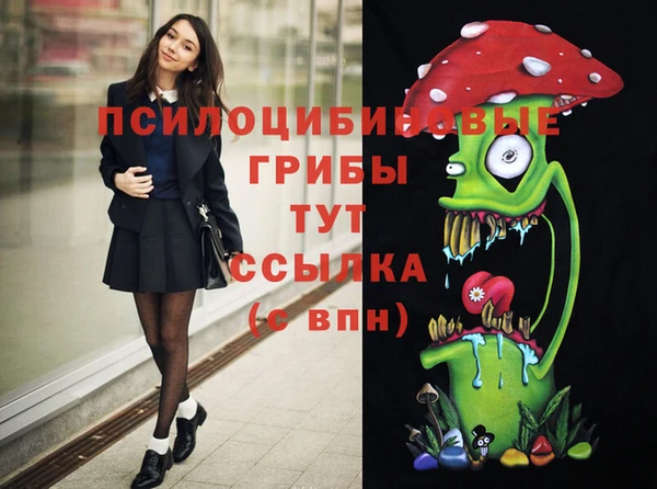 крисы Надым