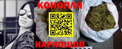 сатива Лесосибирск