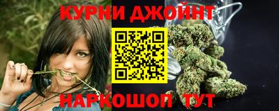 сатива Лесосибирск