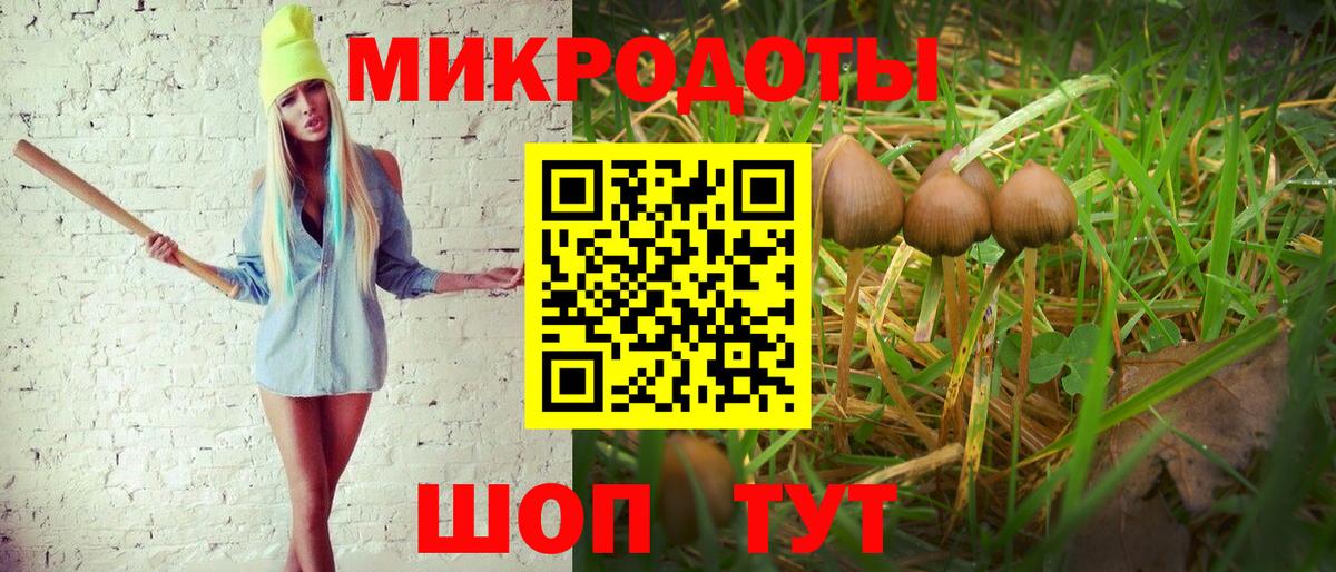 Арсеньев  Псилоцибиновые грибы Cubensis  что такое   Вход с VPN 